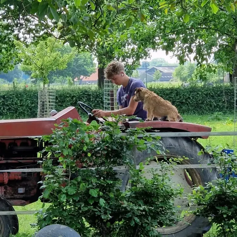 Dagbesteding, jongen rijdt met tractor